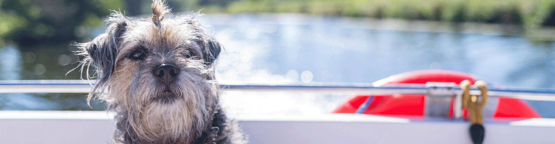 Le Boat - Dog friendly holidays